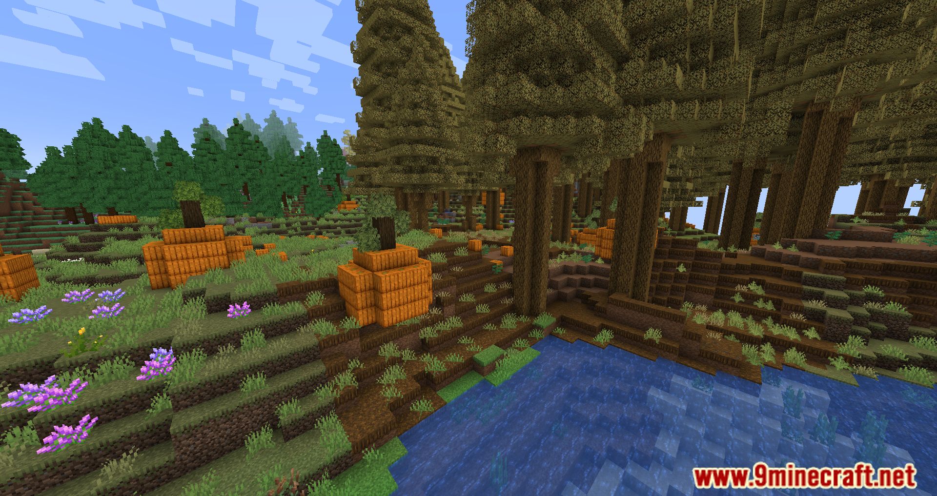 Fantasy Realm Modpack (1.16.5) - Explore The Mysterious World 20
