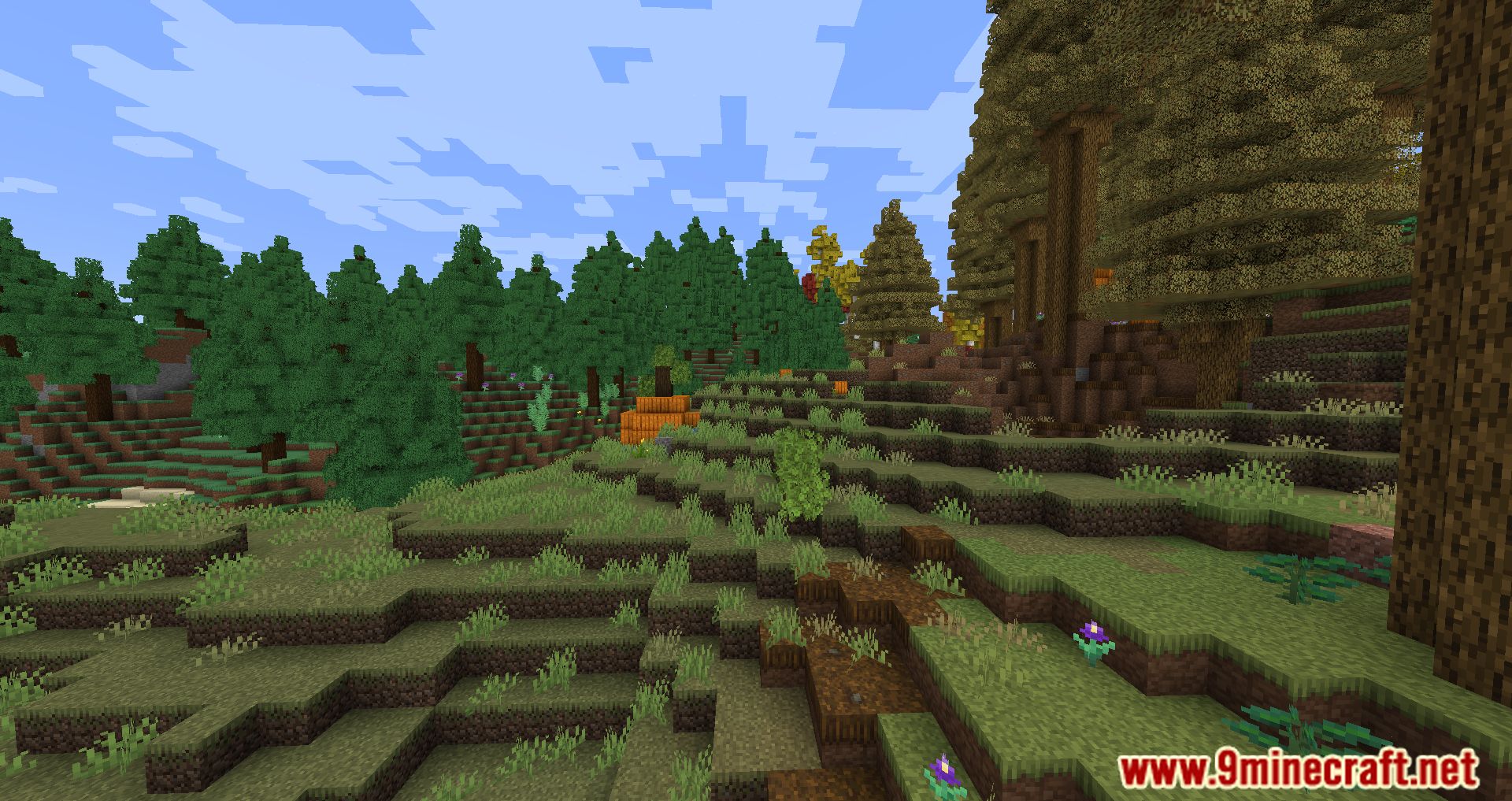 Fantasy Realm Modpack (1.16.5) - Explore The Mysterious World 21