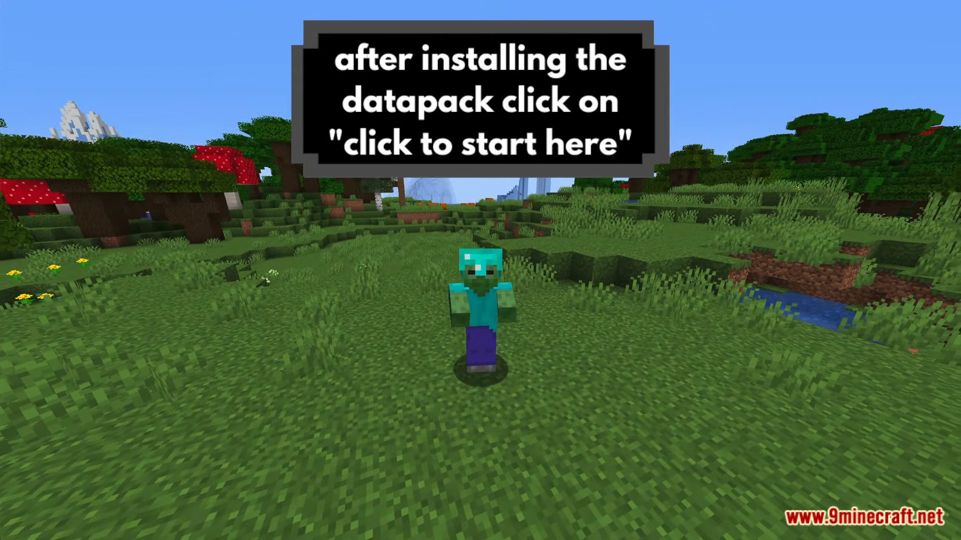 Minecraft But You Turn Into Mob Every 30 Seconds Data Pack (1.17.1) 2