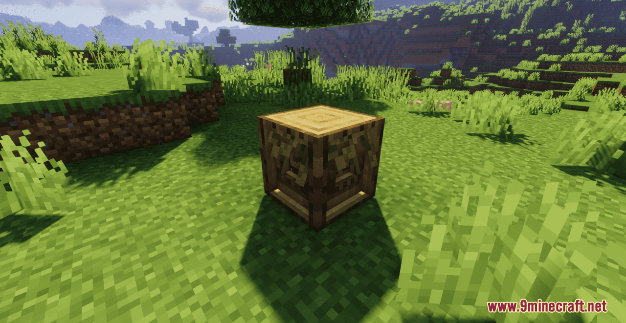 Recreated Medieval Containers Resource Pack (1.20.6, 1.20.1) - Texture Pack 8