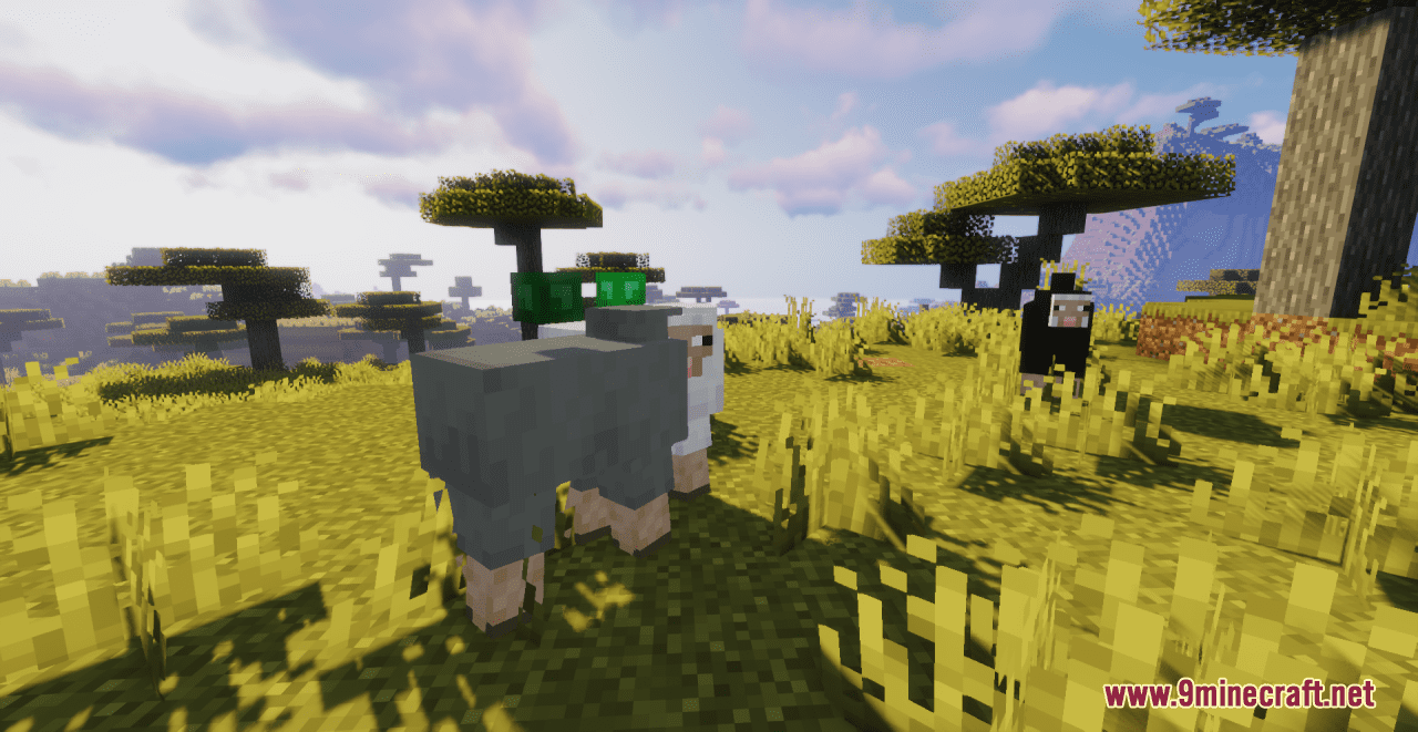 Shiny's Sheep Stats Resource Pack (1.20.6, 1.20.1) - Texture Pack 13