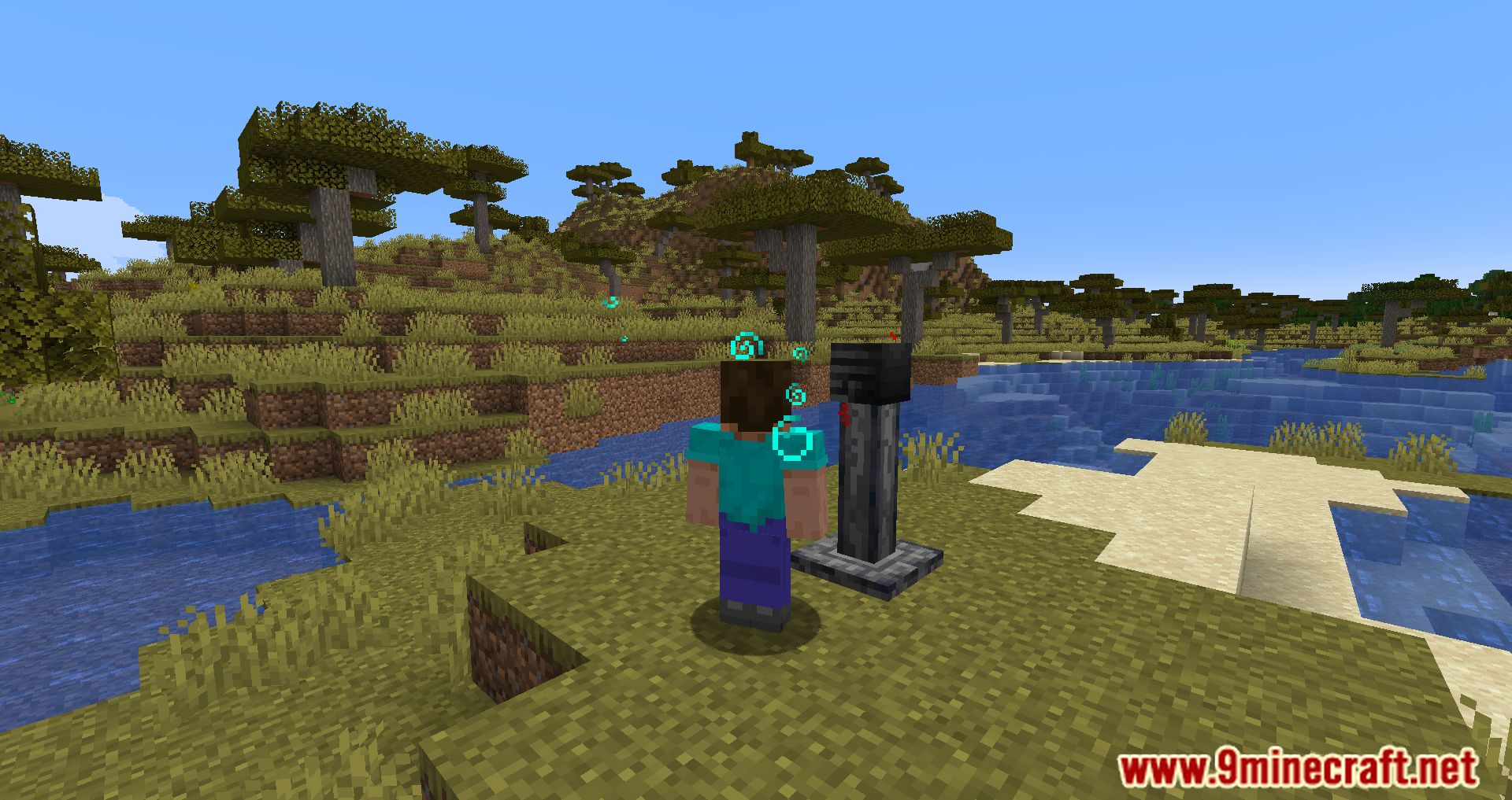 Wither Skeleton Totem Mod (1.20.1, 1.19.3) - Balanced For Dropping Items 3