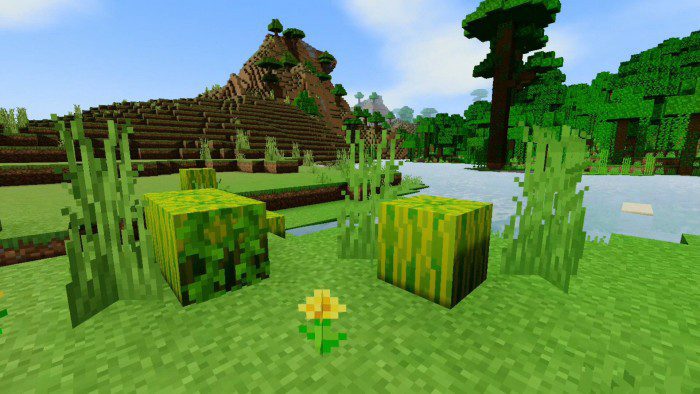 Sharp Shader (1.19) - Mobile/PC/Low-End Devices 2