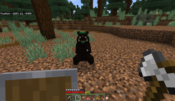 Black and Grizzly Bear Addon (1.19) - MCPE/Bedrock Mod 4