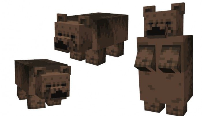 Black and Grizzly Bear Addon (1.19) - MCPE/Bedrock Mod 3