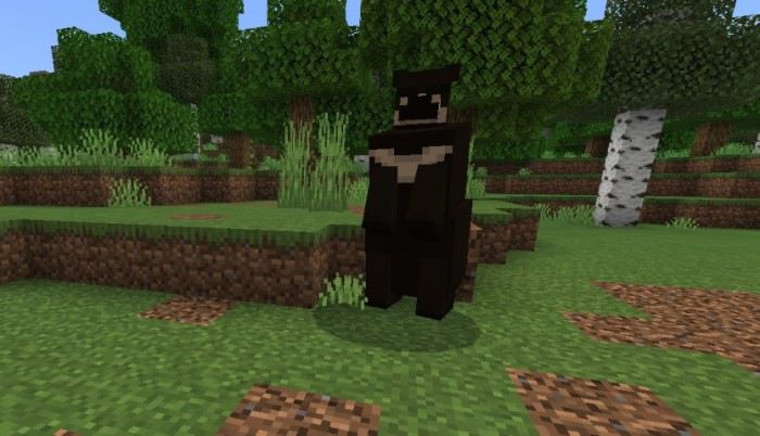 Black and Grizzly Bear Addon (1.19) - MCPE/Bedrock Mod 7