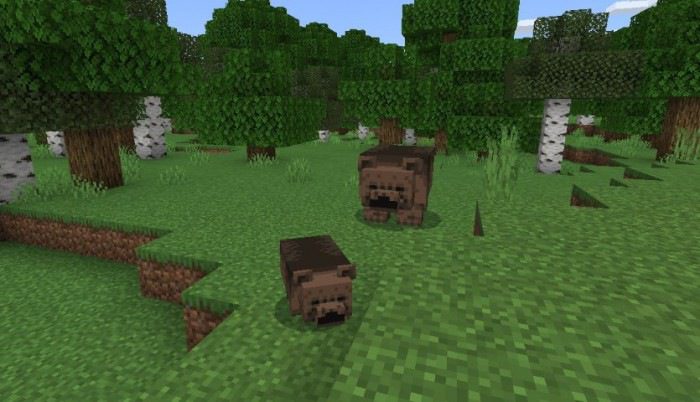 Black and Grizzly Bear Addon (1.19) - MCPE/Bedrock Mod 8