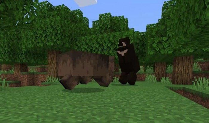 Black and Grizzly Bear Addon (1.19) - MCPE/Bedrock Mod 9