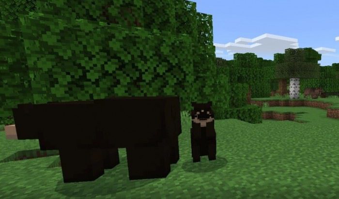 Black and Grizzly Bear Addon (1.19) - MCPE/Bedrock Mod 10