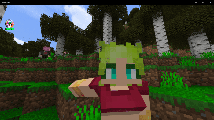 Anime Characters Waifus Addon (1.18) - MCPE/Bedrock Mod 13