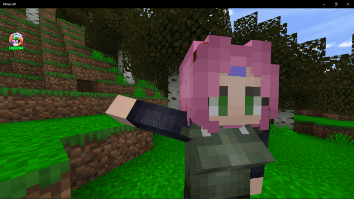 Anime Characters Waifus Addon (1.18) - MCPE/Bedrock Mod 16