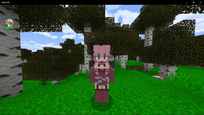 Anime Characters Waifus Addon (1.18) - MCPE/Bedrock Mod 5