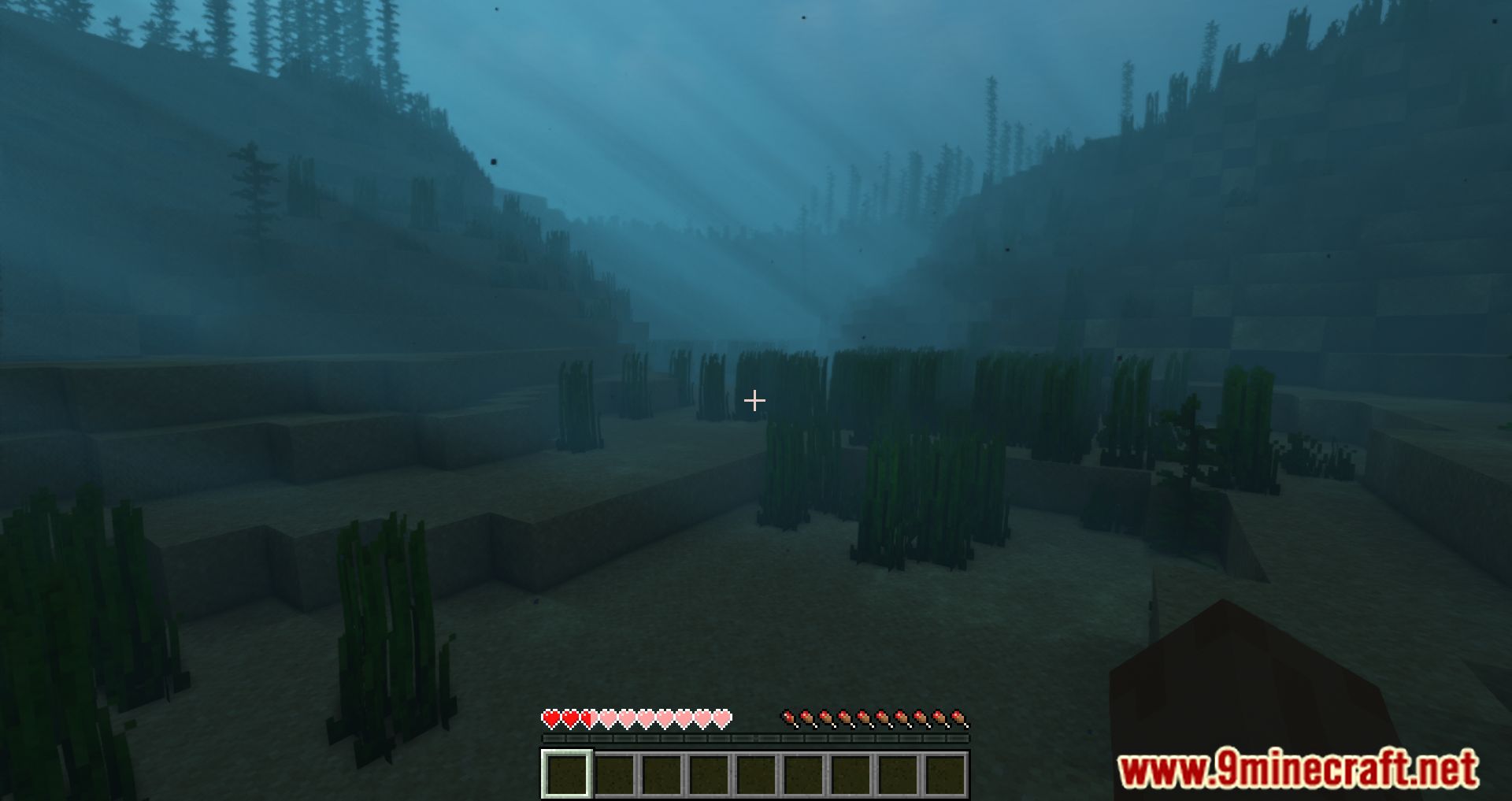 Better Drowning Mod (1.16.5, 1.15.2) - Tweaks The Drowning And Water Mechanics 12