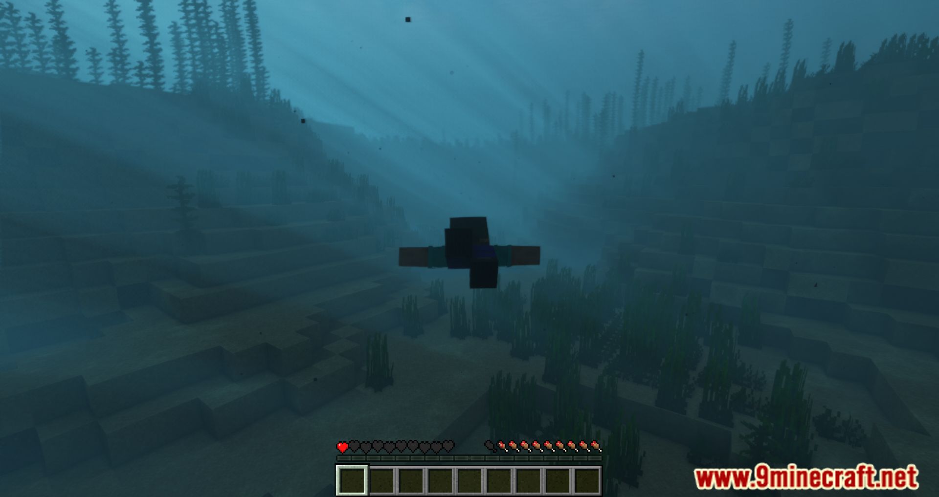 Better Drowning Mod (1.16.5, 1.15.2) - Tweaks The Drowning And Water Mechanics 13