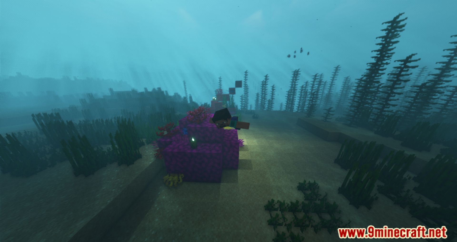 Better Drowning Mod (1.16.5, 1.15.2) - Tweaks The Drowning And Water Mechanics 17