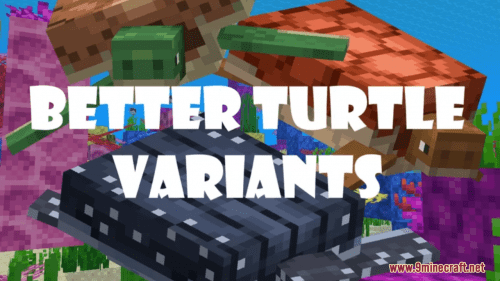 Better Turtle Variants Resource Pack (1.20.6, 1.20.1) – Texture Pack Thumbnail