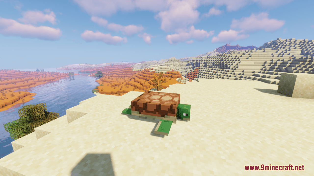 Better Turtle Variants Resource Pack (1.20.6, 1.20.1) - Texture Pack 6