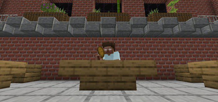 Craig's Cosmetics Addon (1.19) - MCPE/Bedrock Mod 13