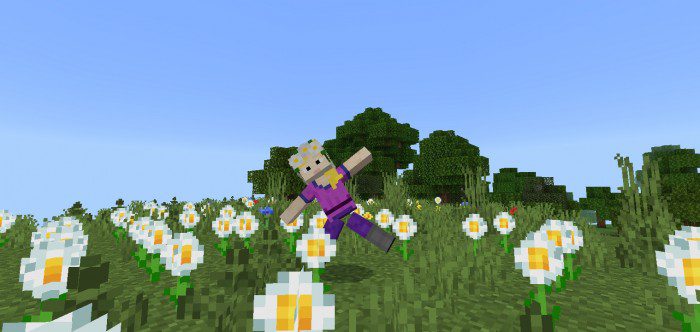 Craig's Cosmetics Addon (1.19) - MCPE/Bedrock Mod 18