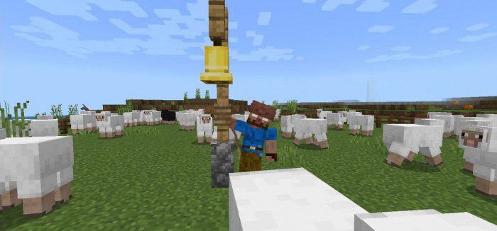 Craig's Cosmetics Addon (1.19) - MCPE/Bedrock Mod 7