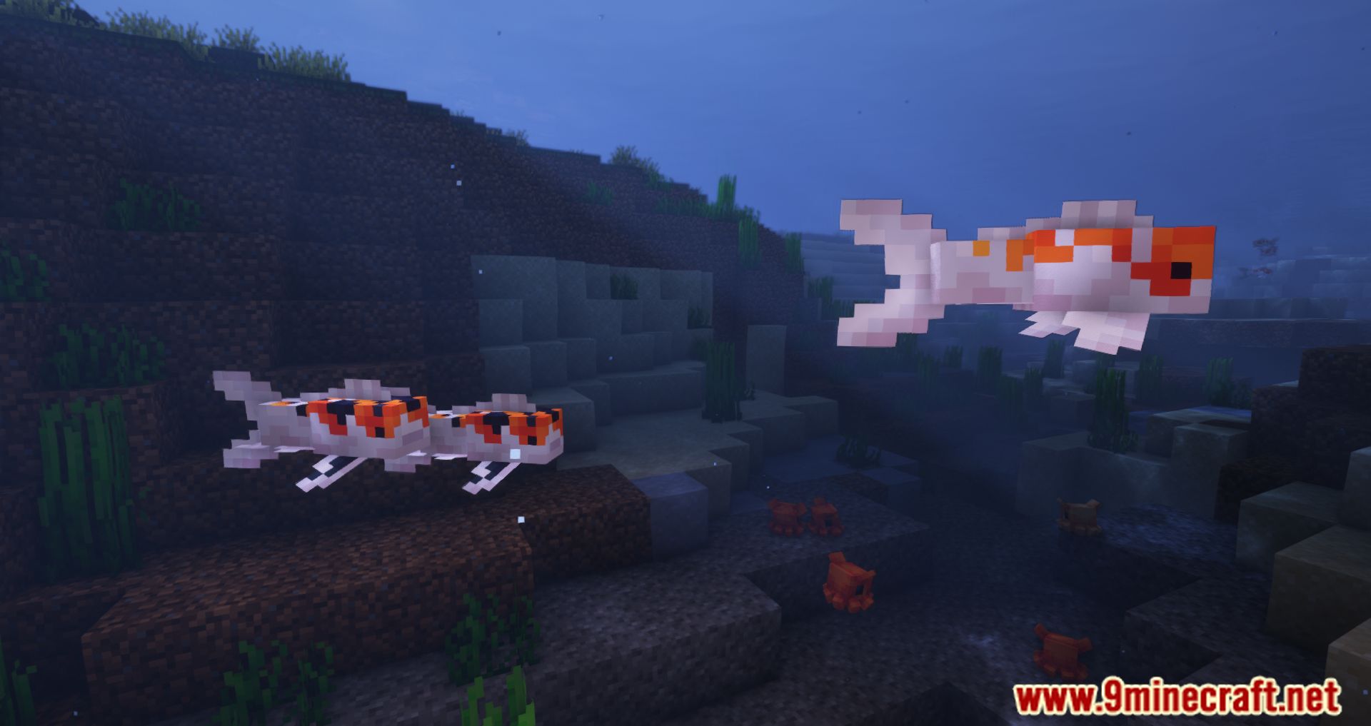 Critters and Companions Mod (1.19.2, 1.18.2) - Fill The Overworld With New Animals 7