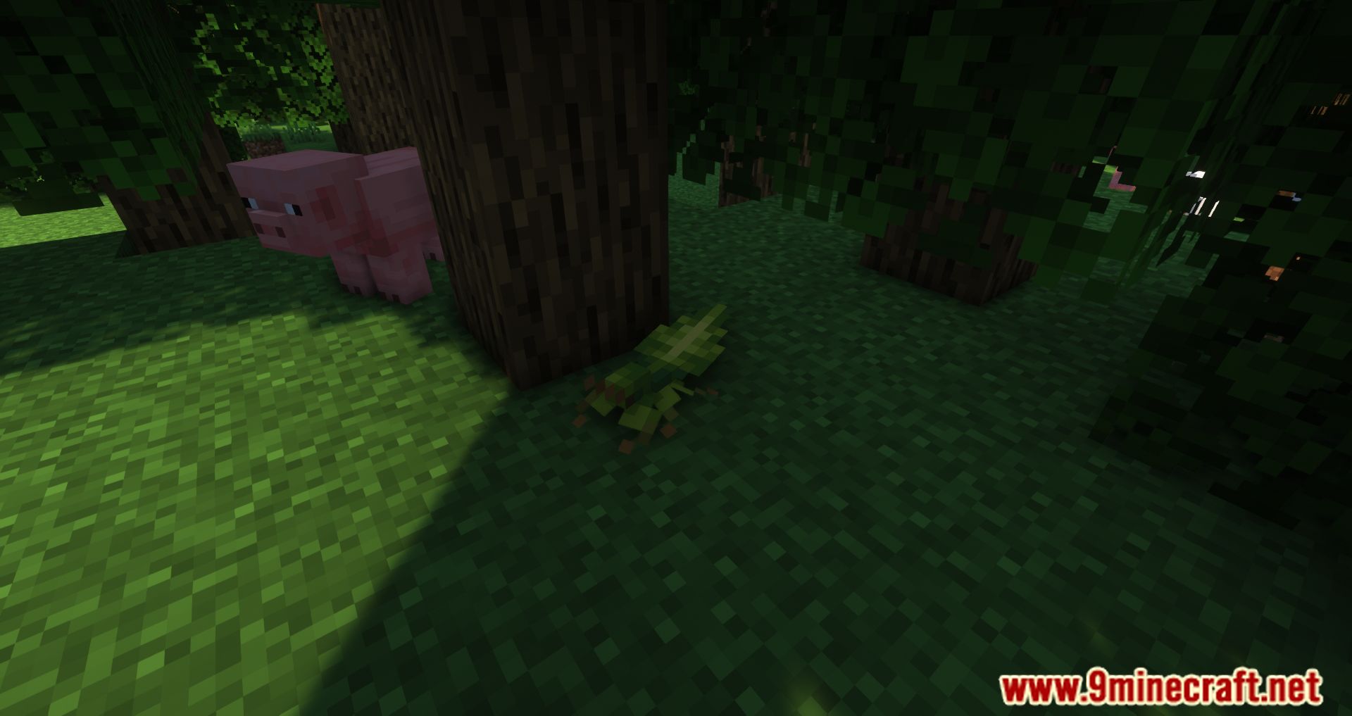 Critters and Companions Mod (1.19.2, 1.18.2) - Fill The Overworld With New Animals 9