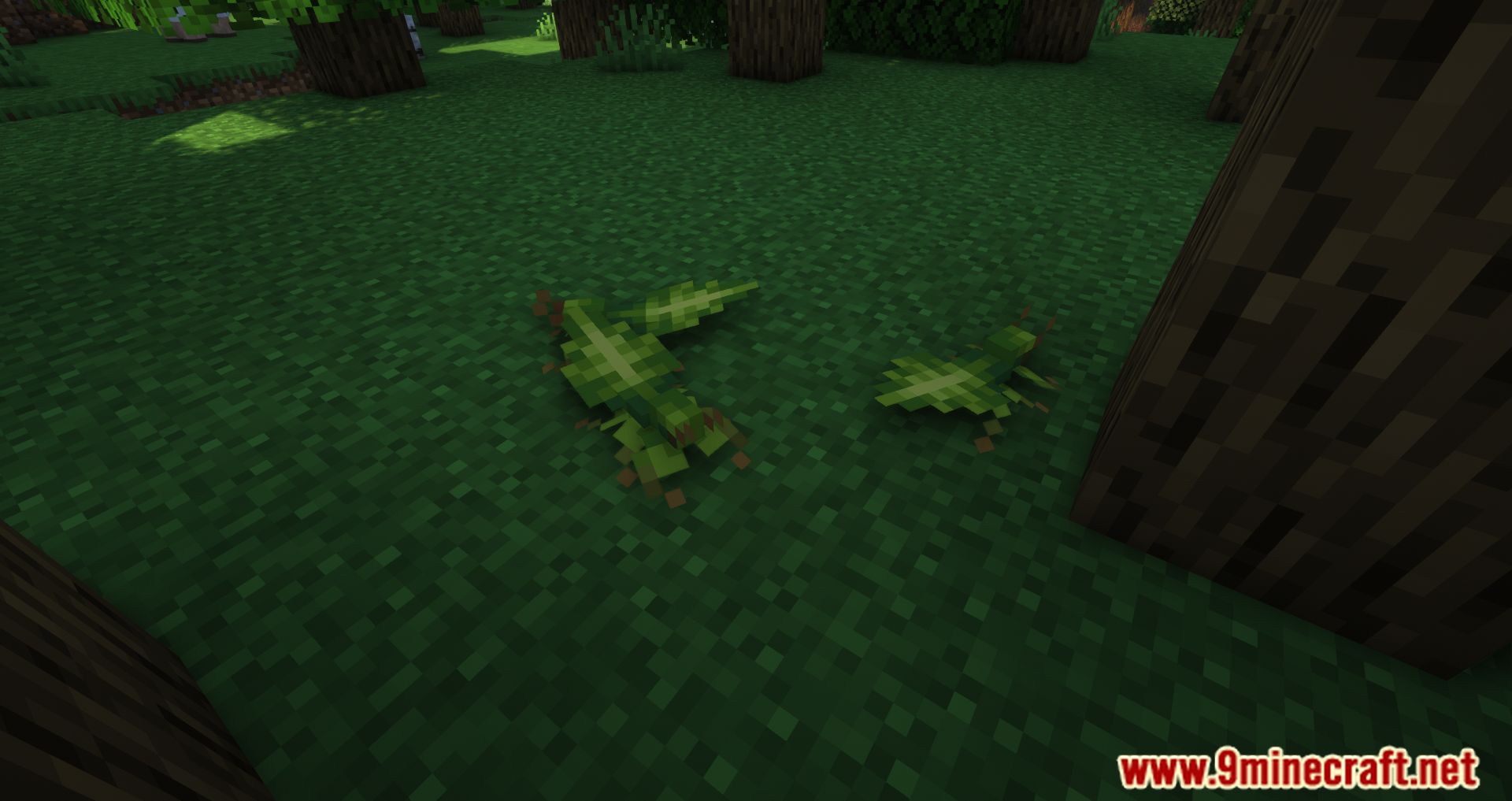 Critters and Companions Mod (1.19.2, 1.18.2) - Fill The Overworld With New Animals 10