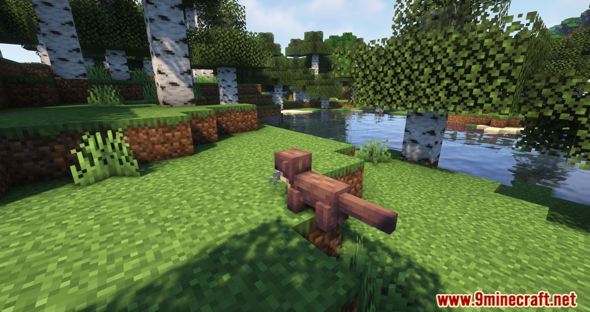 Critters and Companions Mod (1.19.2, 1.18.2) - Fill The Overworld With New Animals 11