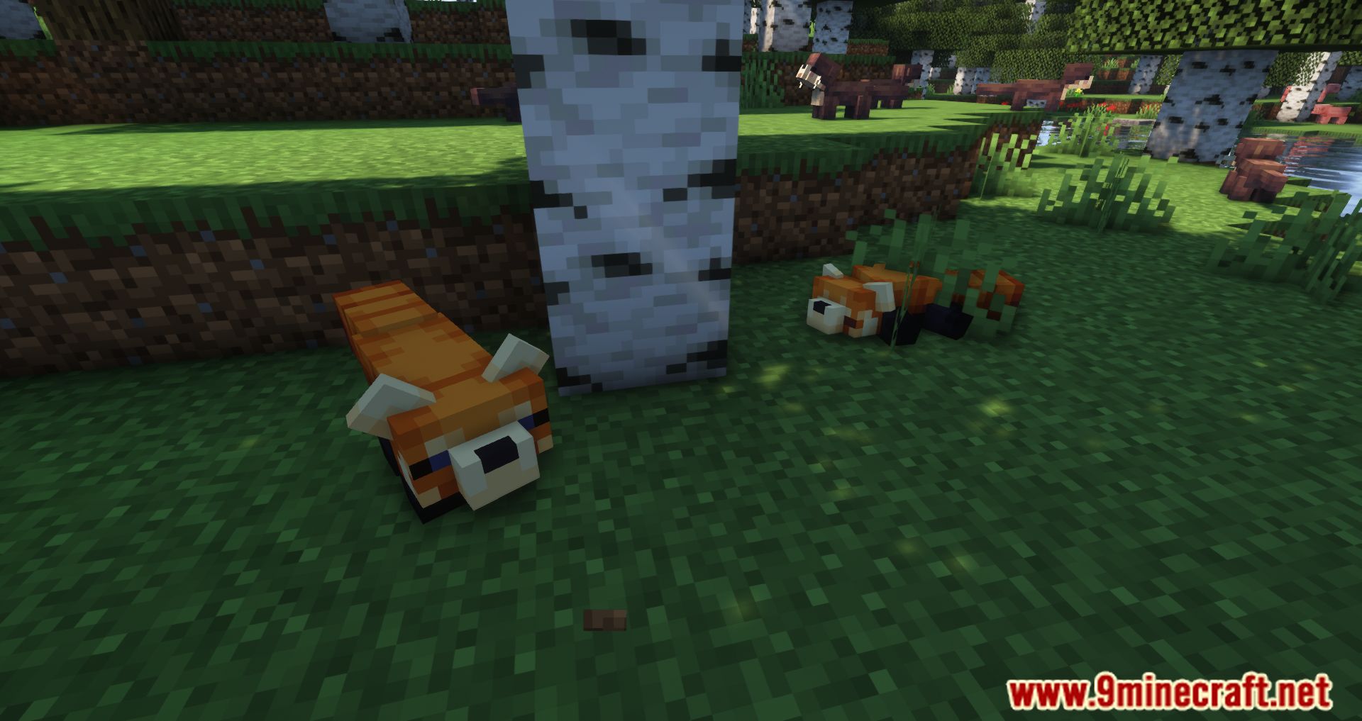 Critters and Companions Mod (1.19.2, 1.18.2) - Fill The Overworld With New Animals 12