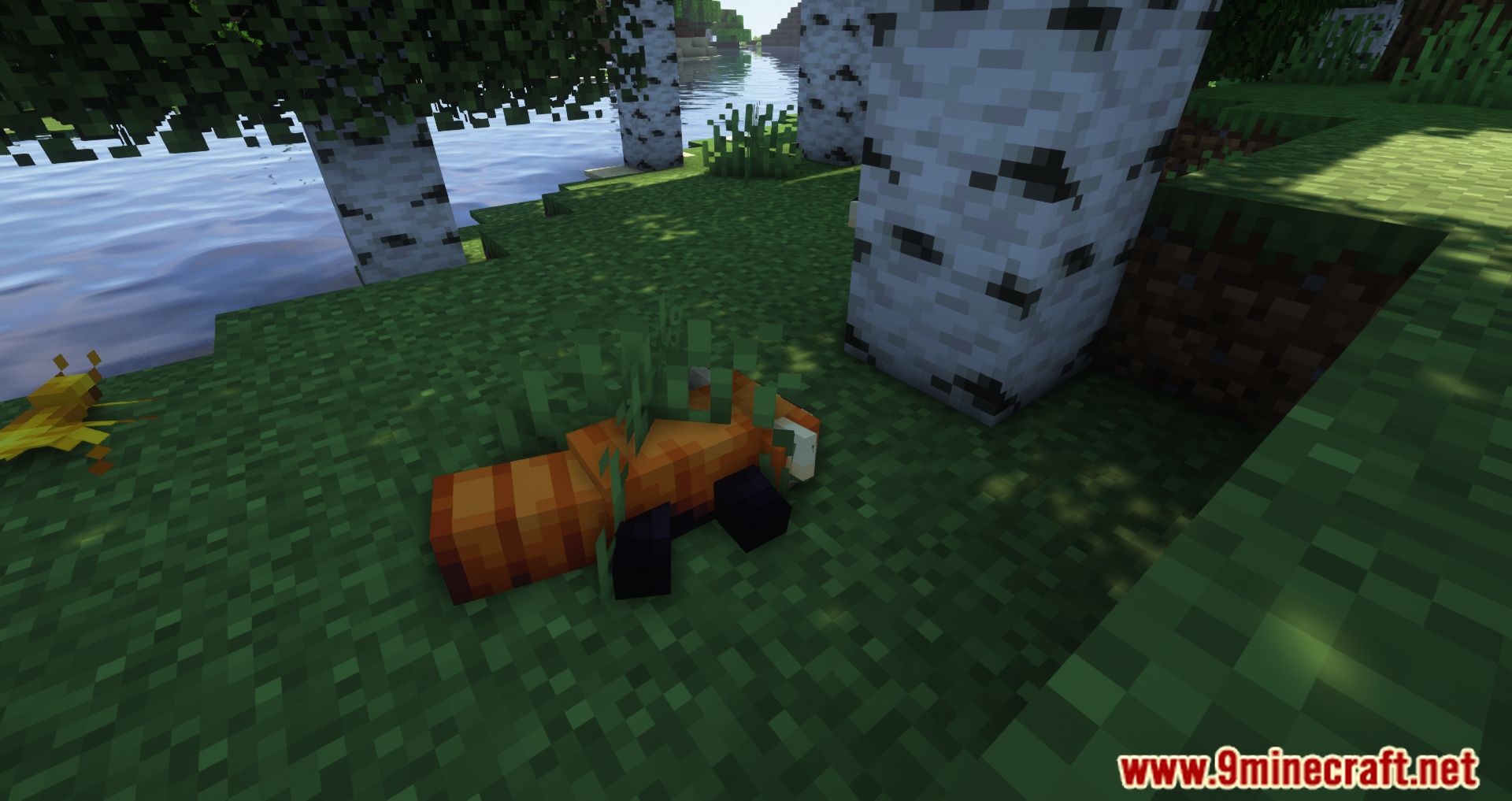 Critters and Companions Mod (1.19.2, 1.18.2) - Fill The Overworld With New Animals 13