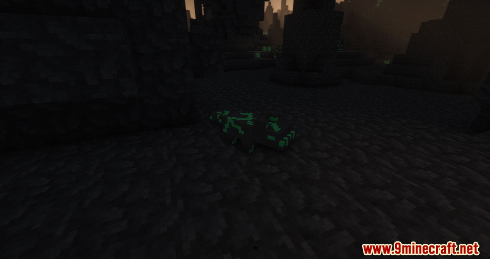 Dark Caverns Mod (1.16.5) - The Forgotten World 9