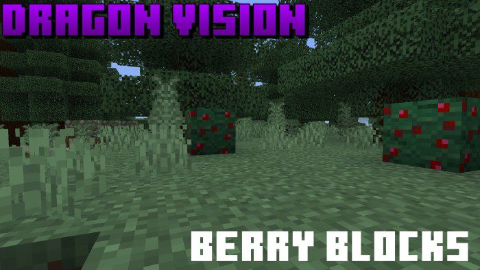 Dragon Vision Addon (1.19) - MCPE/Bedrock Mod 4