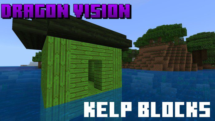 Dragon Vision Addon (1.19) - MCPE/Bedrock Mod 5