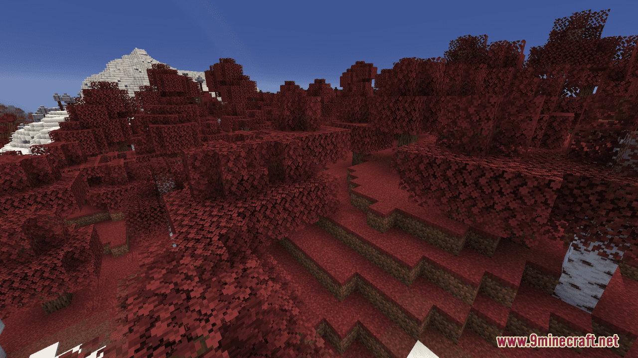 Dynamic Vision - Colorful Biomes Resource Pack (1.20.6, 1.20.1) - Texture Pack 2