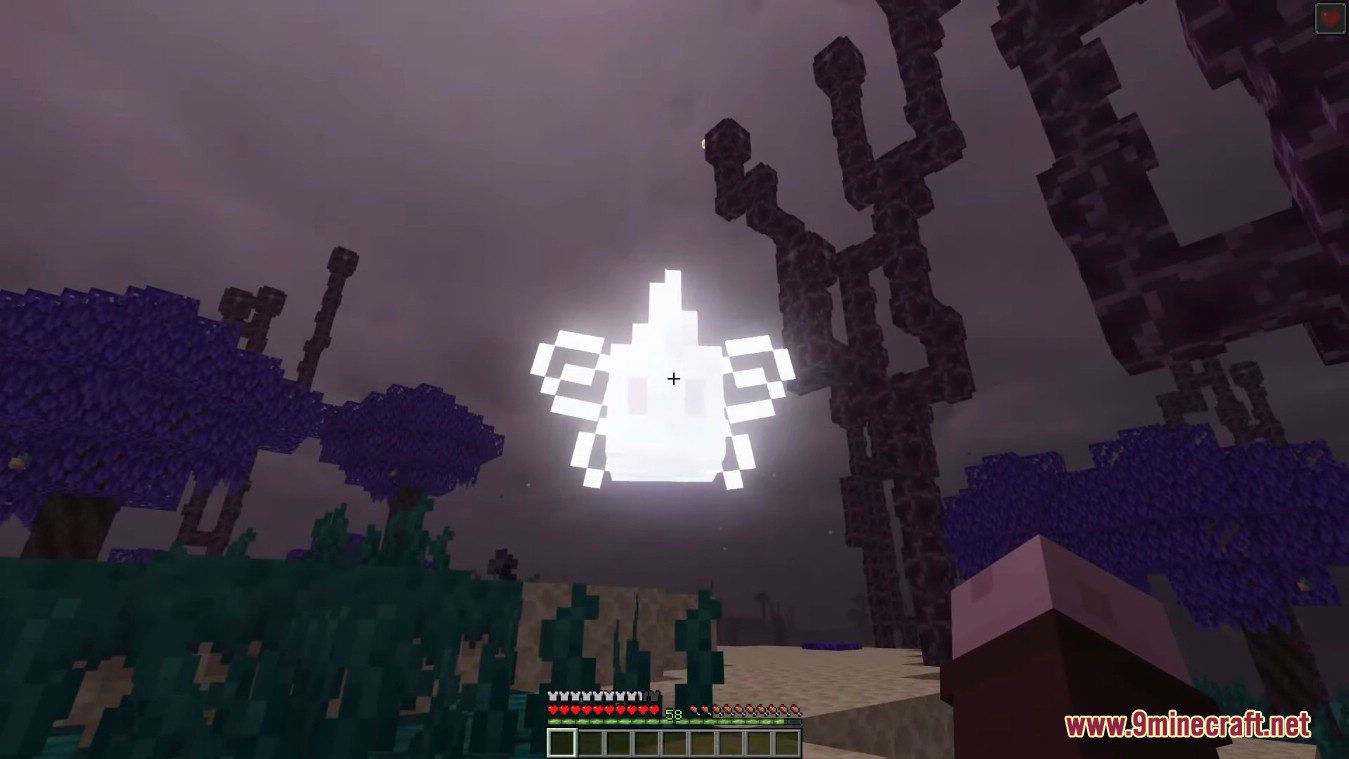 End's Phantasm Mod (1.20.1, 1.19.2) - End Update for Minecraft 13