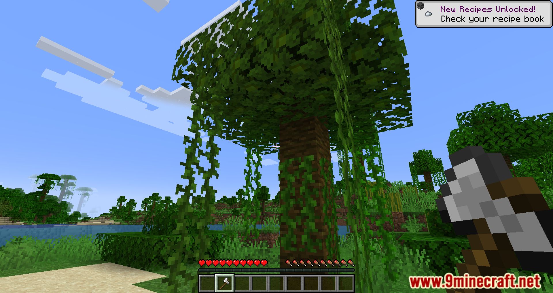Fabric Tree Chopper Mod (1.19.2, 1.18.2) - Easier And More Real Tree Cutting 2