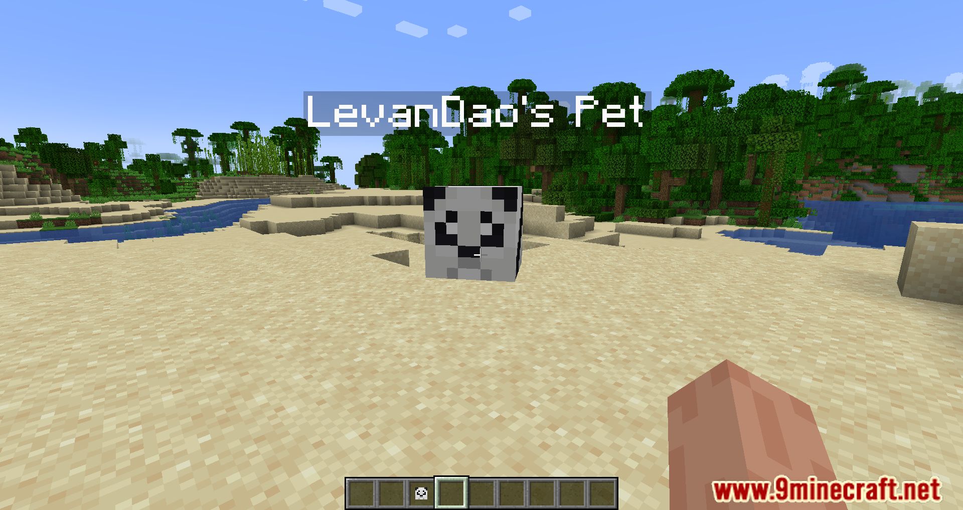 Hover Pets Mod (1.19.2, 1.18.2) - Bring Cute Pets Into The Game 12