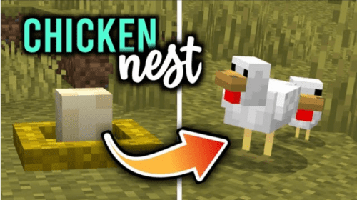 Incubation Addon (1.19) – MCPE/Bedrock Chicken Nest Mod Thumbnail