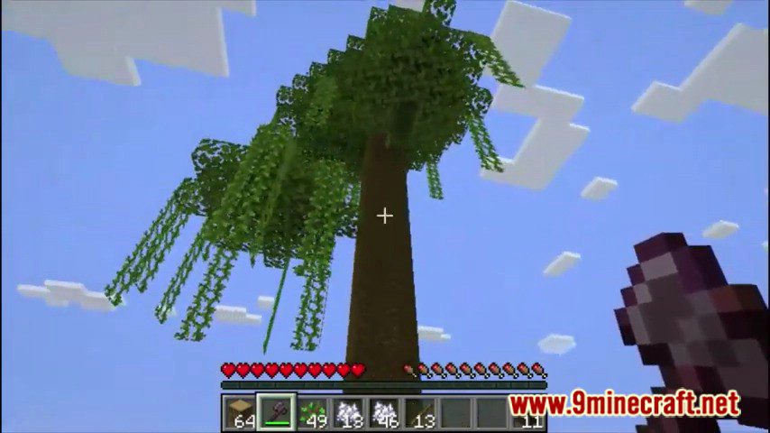 LumberJack Plugin (1.19, 1.18) – Spigot 3