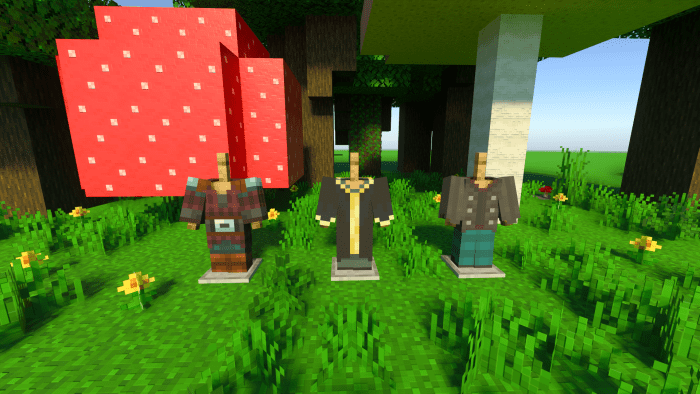 Medieval Clothes Addon (1.19) - MCPE/Bedrock Mod 14