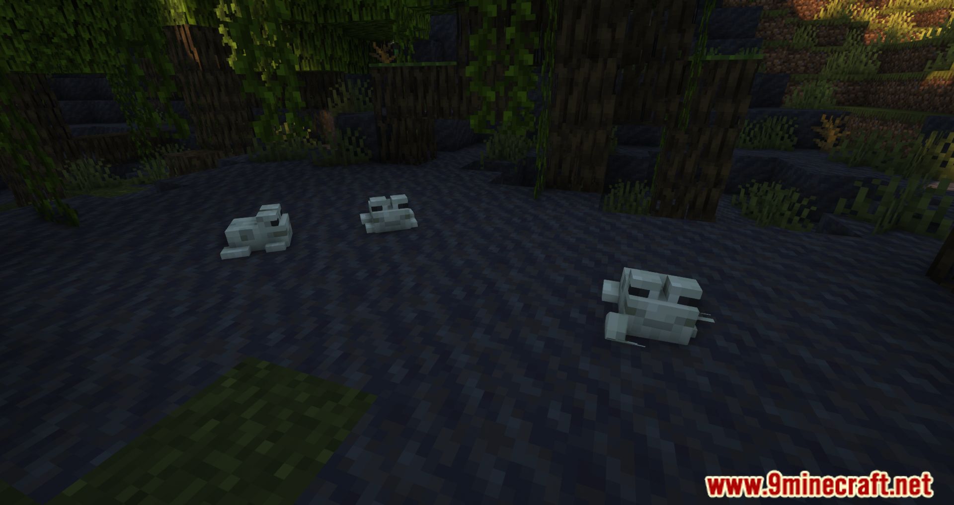 NoCubes Better Frogs Mod (1.19.2, 1.18.2) - Frogs More Useful In Minecraft 2