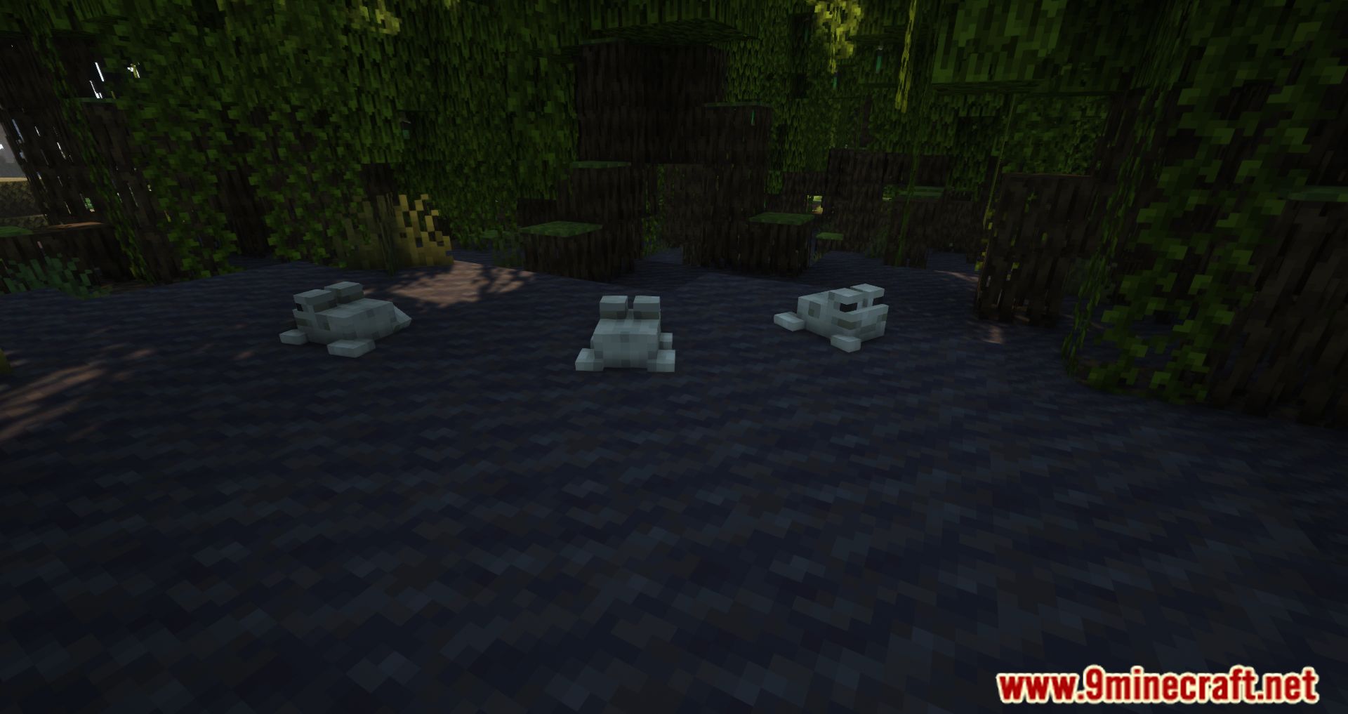 NoCubes Better Frogs Mod (1.19.2, 1.18.2) - Frogs More Useful In Minecraft 3