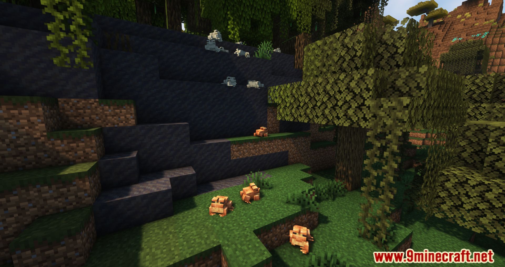 NoCubes Better Frogs Mod (1.19.2, 1.18.2) - Frogs More Useful In Minecraft 4