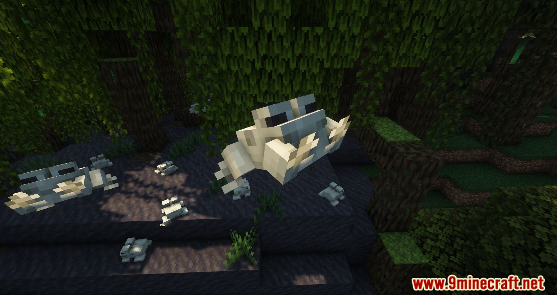 NoCubes Better Frogs Mod (1.19.2, 1.18.2) - Frogs More Useful In Minecraft 5