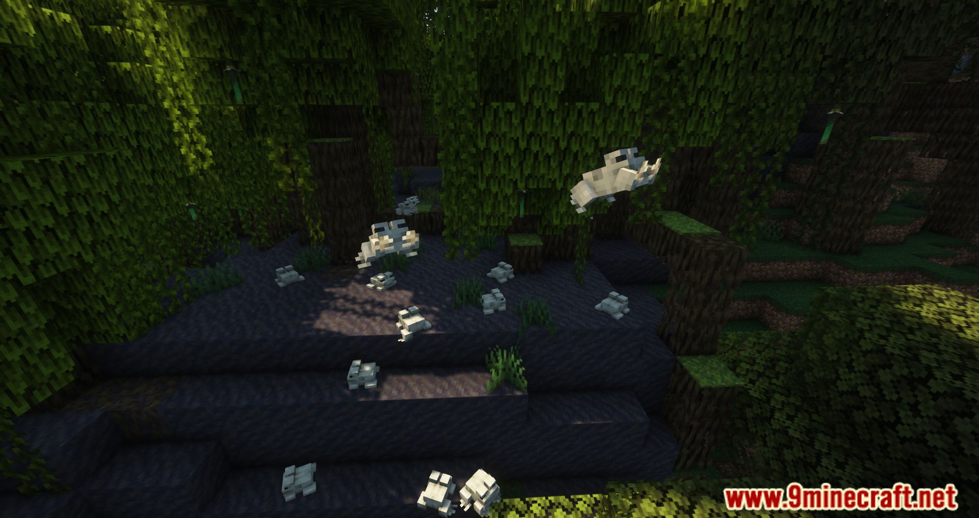 NoCubes Better Frogs Mod (1.19.2, 1.18.2) - Frogs More Useful In Minecraft 6