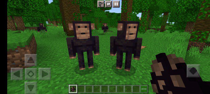 Real Animals Addon (1.19) - MCPE/Bedrock Mod 2