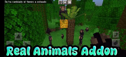 Real Animals Addon (1.19) – MCPE/Bedrock Mod Thumbnail