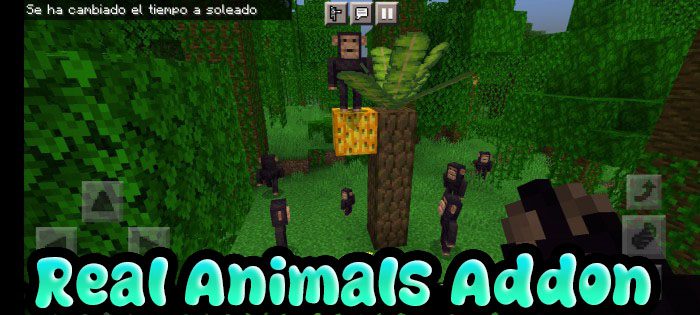 Real Animals Addon (1.19) - MCPE/Bedrock Mod 1