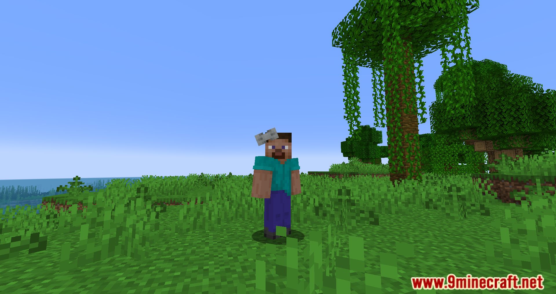 Simple Hats Mod (1.20.4, 1.19.4) - Cool hats In The Game 6