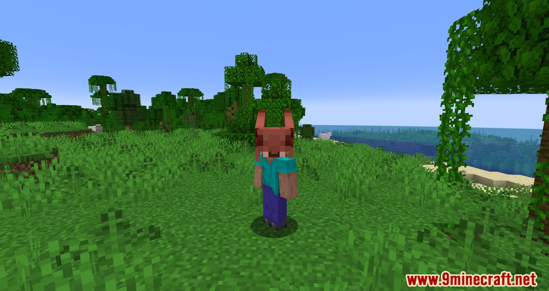 Simple Hats Mod (1.20.4, 1.19.4) - Cool hats In The Game 12